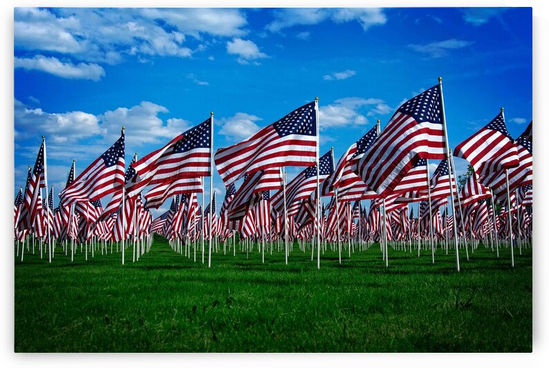 Memorial Day by Adel B Korkor