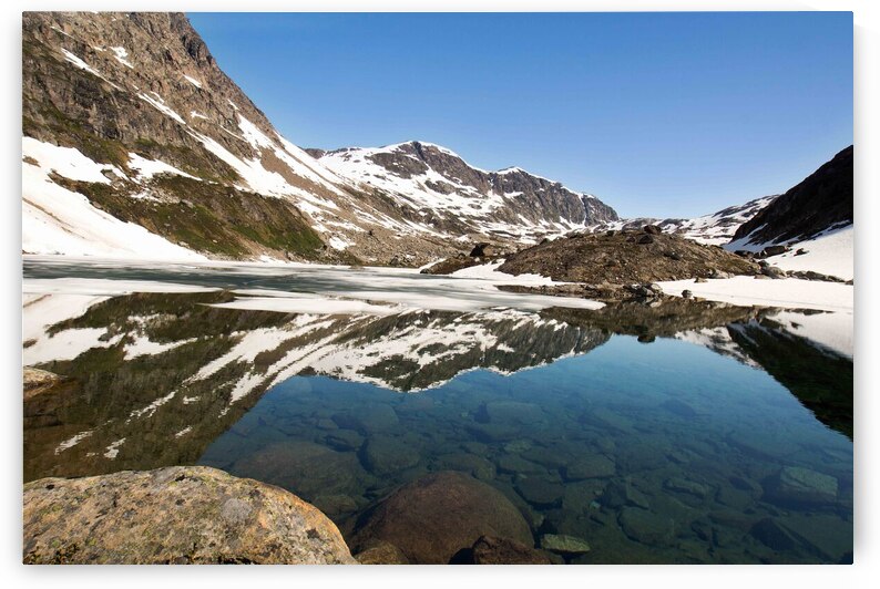 Hedges Halvo Greenland Landscape by Adel B Korkor