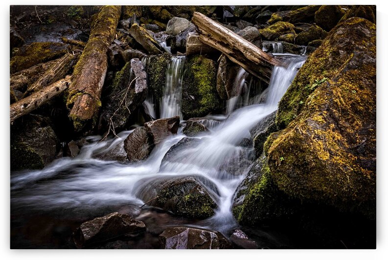 Proxy Creek Oregon by Adel B Korkor