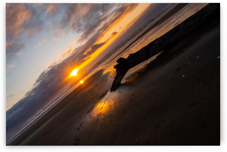 California Beach Sunset by Adel B Korkor