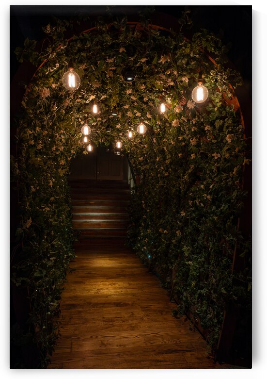 An Enchanting Entrance by Adel B Korkor