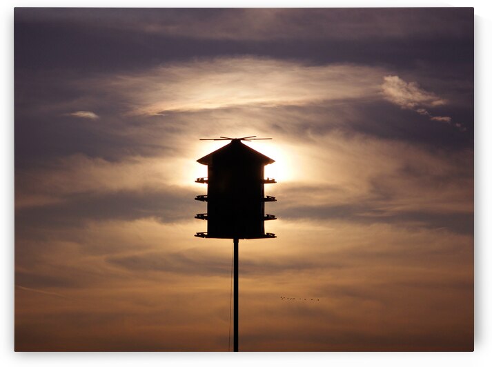 Birdhouse by Adel B Korkor
