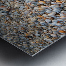 Seashells on the Seashore Impression metal