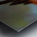 Ornate hawk-eagle Metal print