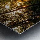 Sunbeam Landscape Metal print