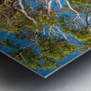 Gum Tree Metal print