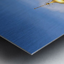 Church Of The Savior On Blood Metal print