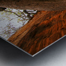 Red Rock Canyon Tree Metal print