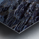 Chinstrap Penguin Metal print