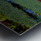 Water Lily on the Amazon River Metal print