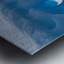 Lone Penguin Metal print