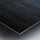 Hooded Merganser Metal print