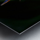 Bird of Paradise Flower Metal print