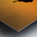 Triumph at Malibu Beach California Metal print