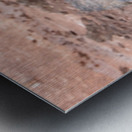 Curious Adelie Penguin Metal print