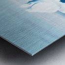 Gentoo Mother and Baby Penguins Metal print