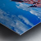 Memorial Day Metal print