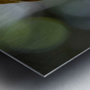 Madagascan Pygmy Kingfisher Metal print