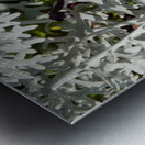 Starry Sky Burgundy Petunia Flower Metal print