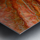 Giant Pumpkin Metal print