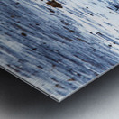 Blue-Winged Teal Metal print
