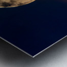 Moon Lit Night Metal print