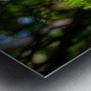 Gomphidius Mushroom Metal print