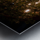 An Enchanting Entrance Metal print