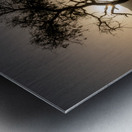 A Lone Tree in the Desert Metal print