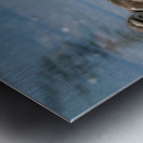 Mallard Ducklings Metal print