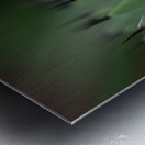 Huachuca Agave Plant Metal print