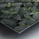 Nerve Plant Metal print