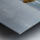 Twelve Apostles Metal print