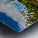 Rhinos at the Hluhluwe–Imfolozi Park Metal print