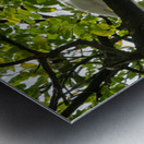 White Terns Metal print