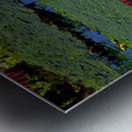 Amazon Water Lilly Metal print