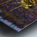 Sundays In Green Bay Metal print