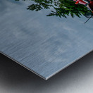 Classic Tractors Metal print