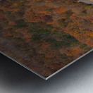 Holy Hill Metal print