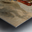 Sally Lightfoot Crab Metal print