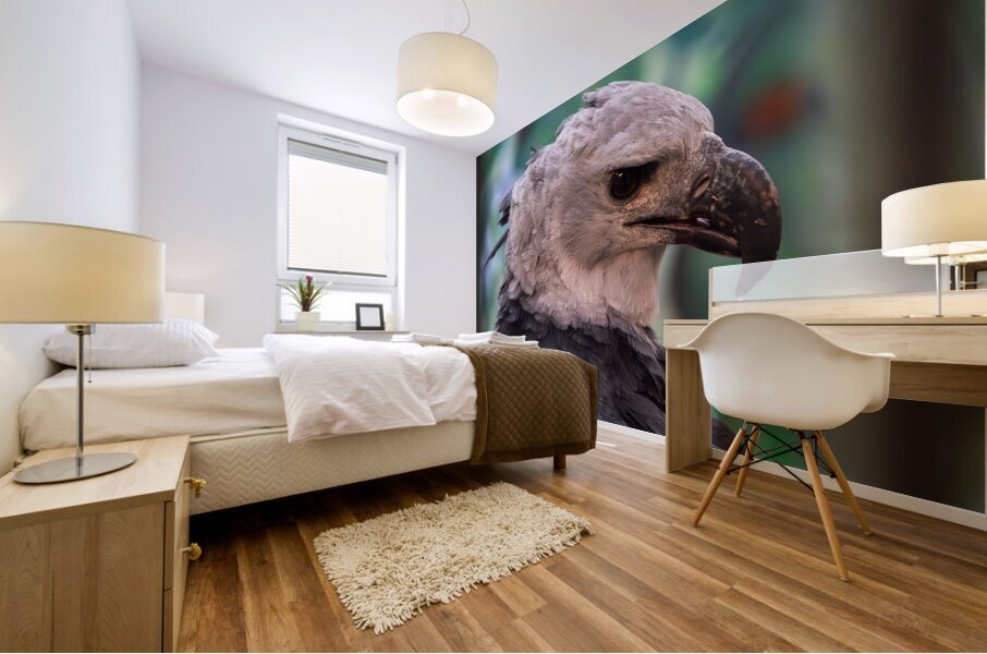 Harpy eagle Mural print