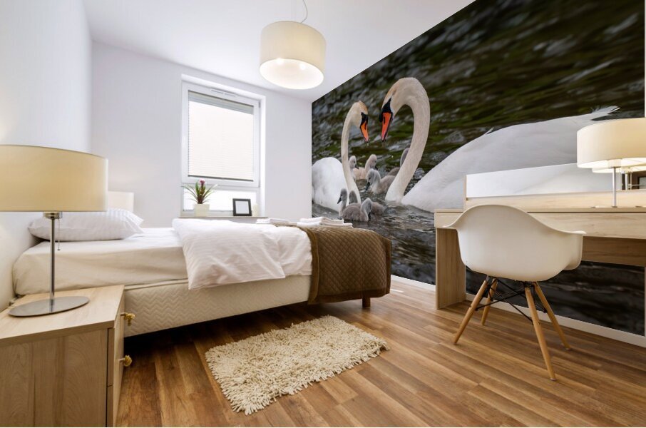 Mute Swans Mural print