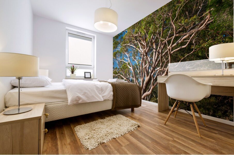 Gum Tree Mural print