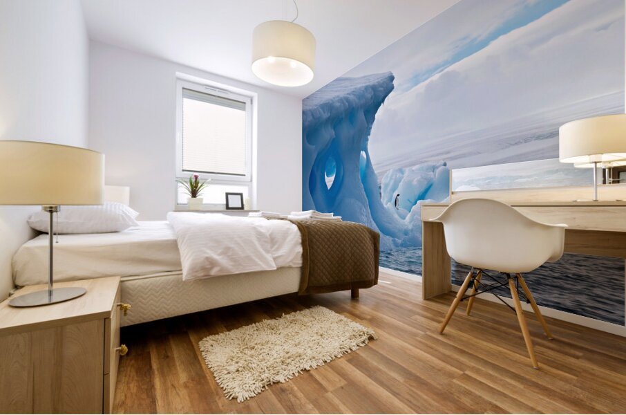 Lone Penguin Mural print