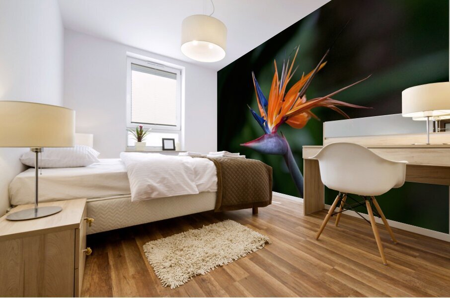 Bird of Paradise Flower Mural print