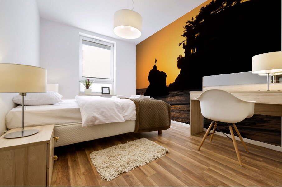 Triumph at Malibu Beach California Mural print