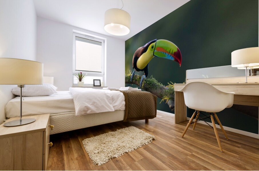 Keel-Billed Toucan Mural print