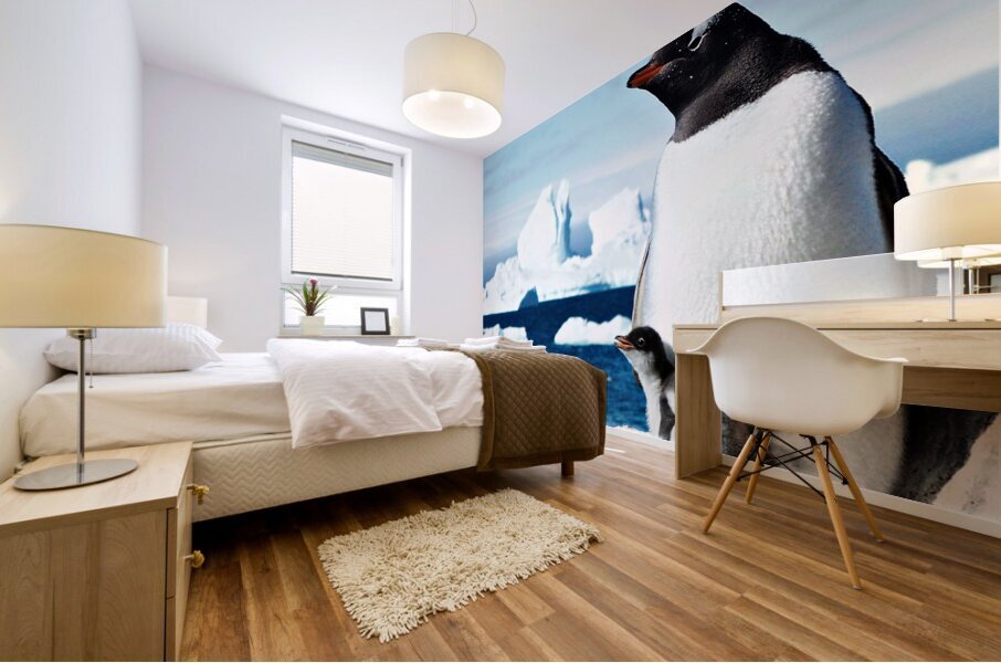 Gentoo Mother and Baby Penguins Mural print