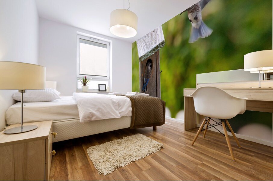 Baby Bluebirds Mural print