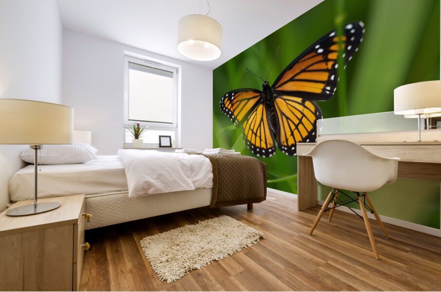 Monarch Butterfly Mural print